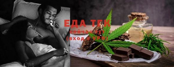 индика Балабаново