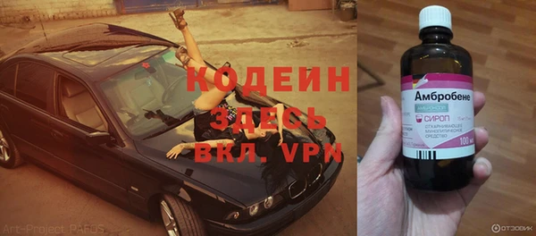 индика Балабаново