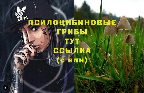 индика Балабаново