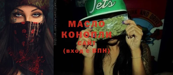 индика Балабаново