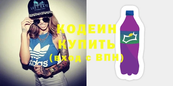 индика Балабаново