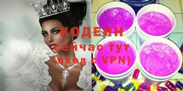 индика Балабаново