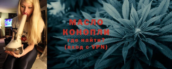 индика Балабаново